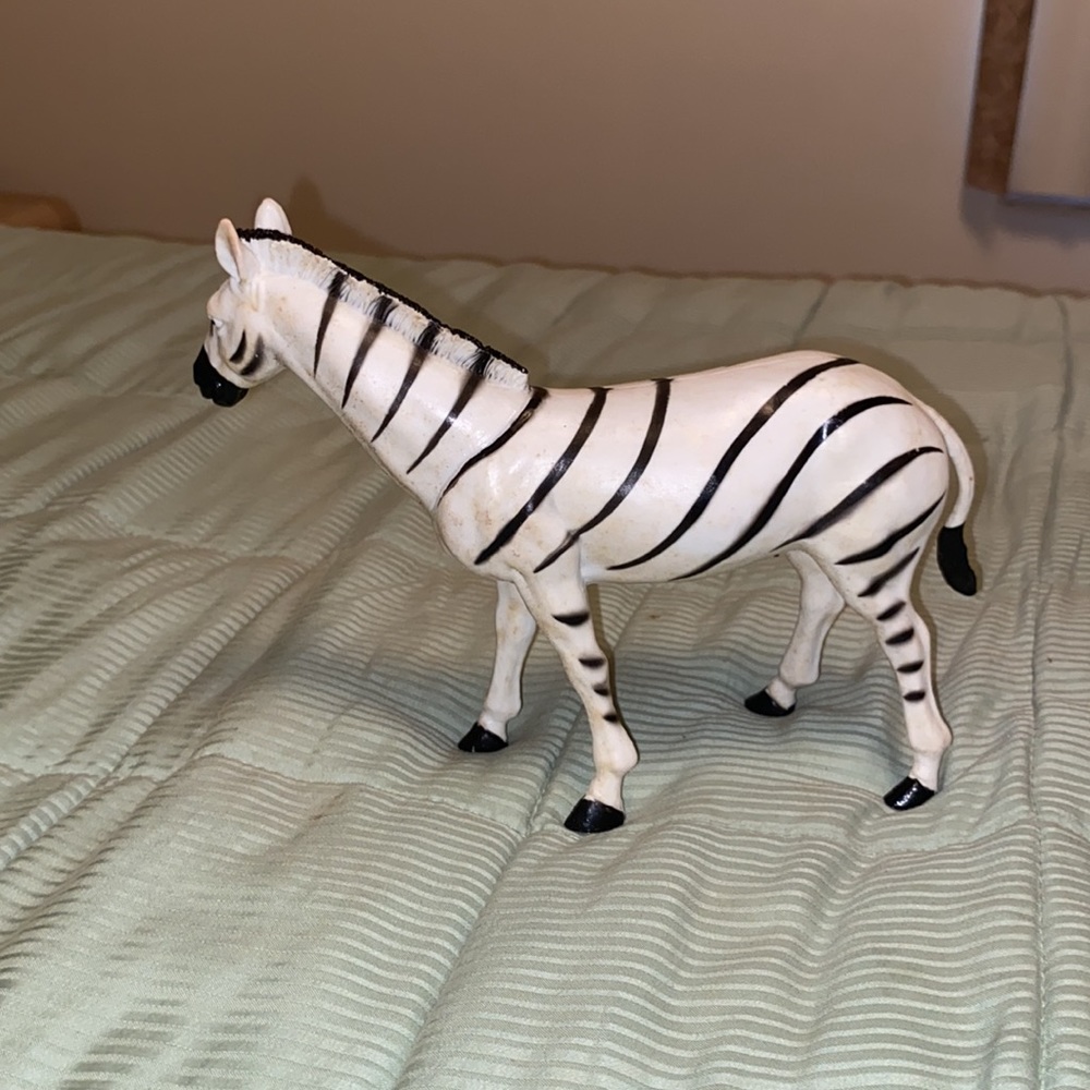 zebra - Picture 3 of 3